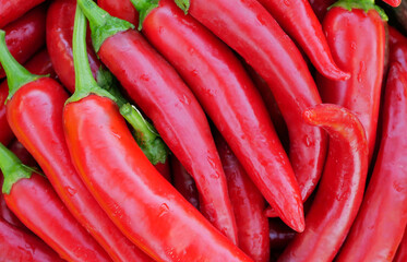 Lots of red hot chili peppers on fresh green grass in summer. Macro
