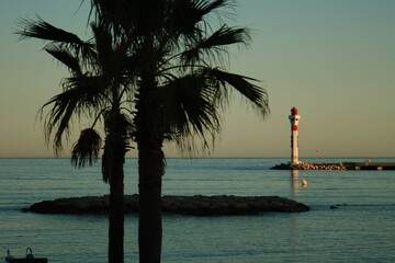 Cannes Mediterranean port lighthouse and palm trees sunset