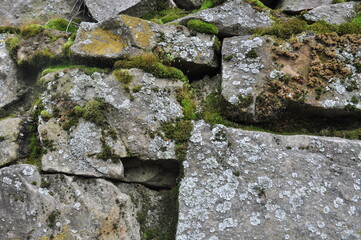 Stones and moss background