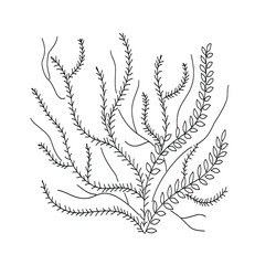 sea corals and seaweed black silhouette  hand drown vector isolated.