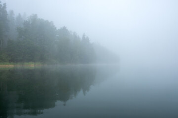 Obraz na płótnie Canvas trees captured from a canoe at a misty lake