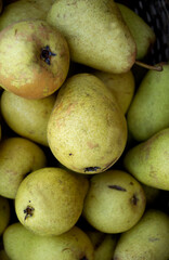 Natural background with yellow Pears