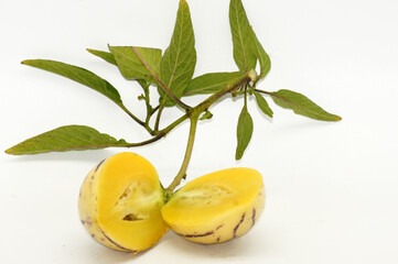 Birnenmelone Pepino Solanum muricatum freigestellt auf weißem Hintergrund