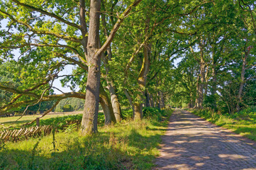 Wilseder Berg im Naturpark Lüneburger Heide