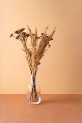 Transparent vase with dried flowers on a neutral background. Background, copy space. Wabi sabi trend
