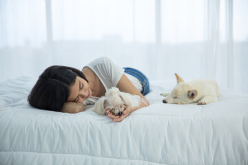 A girl lying in a room with a white Shiba inu dogs and maltese dog.