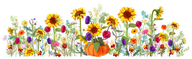 Horizontal autumn’s border: sunflowers, aster, thistles, gerbera, marigold, daisy flowers, small green twigs on white background. Digital draw, illustration in watercolor style, panoramic view, vector