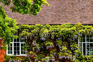 Housing Market Property Real Estate England UK