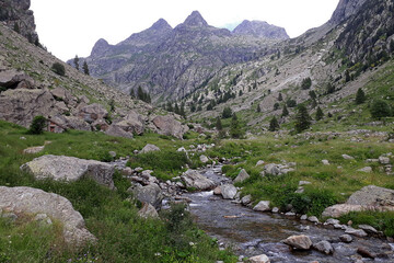 Landscape of Mercantour National Park (Alps, France)