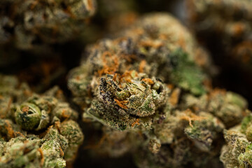 Marijuana Cannabis Flower CBD