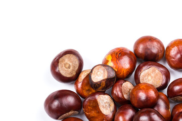 Autumn - Fresh chestnut fruits, Castanea, Horse-chestnut (Aesculus hippocastanum), close up