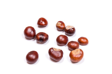 Autumn - Fresh chestnut fruits, Castanea, Horse-chestnut (Aesculus hippocastanum), close up