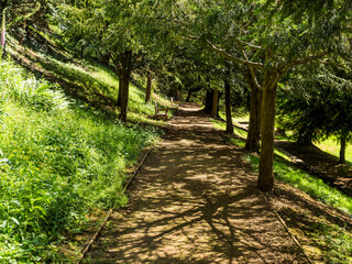 Path, Footpath, Track, Trail in the English Countryside. For walking, hiking, rambling and trekking.