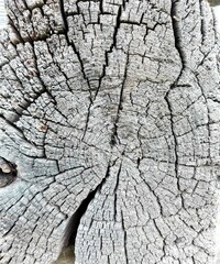 Wooden texture of the wall of an old building made of logs