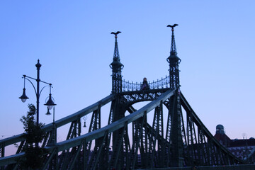 Liberty Bridge in Budapest