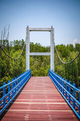 bridge over the river