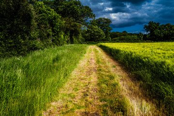 Path, Footpath, Track, Trail in the English Countryside. For walking, hiking, rambling and trekking.
