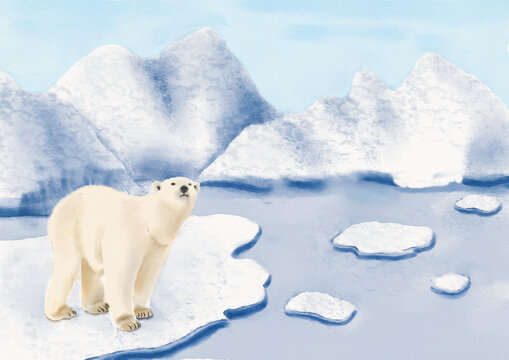 Watercolor Illustration of a polar bear standing on an ice floe looking up at the sky lonely. Iceberg is melting. Isolated on white background.
