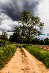 Path, Footpath, Track, Trail in the English Countryside. For walking, hiking, rambling and trekking.
