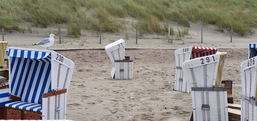 Fototapeta na wymiar beach chairs in the sand
