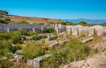 Fototapeta na wymiar Miletus, was an ancient Greek city on the western of Anatolia, near the Maeander River in ancient Caria. Its ruins are located near Balat in Aydın Province, 