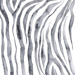 Animal print painted in watercolor on a white background. Fashionable and modern zebra print. Beautiful baby zebra watercolor illustration. © Viktoryia