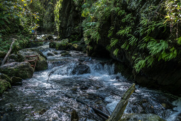 Obraz premium Close up of waterway flowing in mountainous area. Mountain river flows through stones in wooded area in summertime.