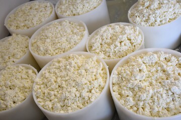 Cheese molds filled with curd without pressing for making cheese.