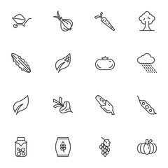 Agriculture harvest line icons set, outline vector symbol collection, linear style pictogram pack. Signs, logo illustration. Set includes icons as fruit and vegetable, jam jar, wheat bag, pumpkin