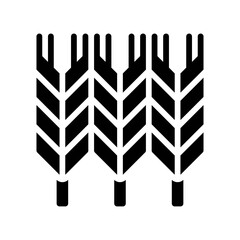 administrative related wheat seeds vector in solid design,