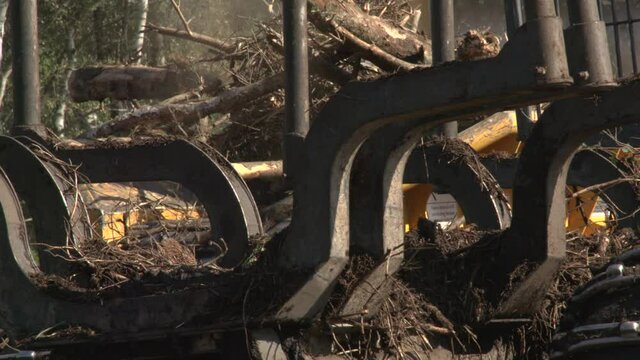Closeup shot of a logging industrial chipper turning the waste branches into mulch