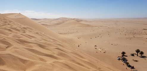 the desert