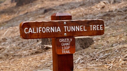 Wegweiser zum California Tunnel Tree im Yosemite National Park, Kalifornien, USA.