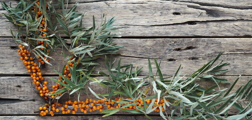 Autumn season for collecting berries for future use. Sea buckthorn branches with berries on a wooden background.