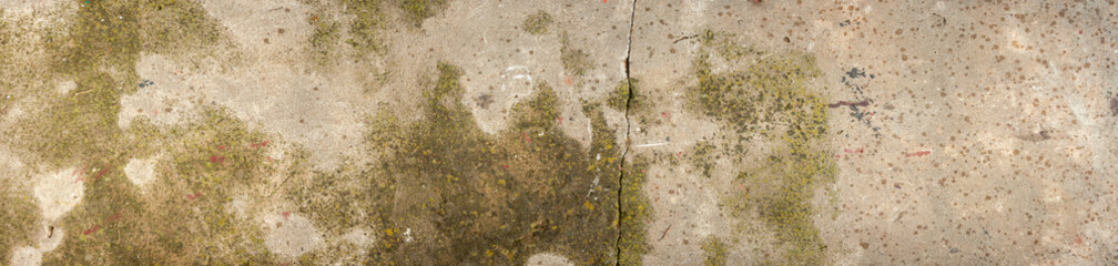 horizontal panorama on cement and concrete texture for pattern and background