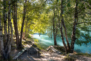 Sunlight illuminates the autumn trees standing in the turquoise waters of the lake