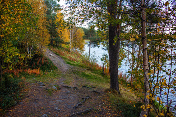 autumn in the park