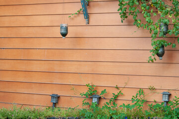 Lanterns and ivy on wooden wall for background and decoration.Wooden floor with ivy and lamps