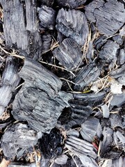 Black coals of a burnt out tourist campfire