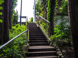 Obraz premium 散歩の途中で撮影した趣のある階段たち