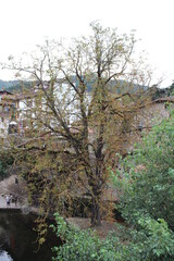 Potes is a municipality in the autonomous community of Cantabria in Spain. It is the capital of the Comarca of Liébana and is located in the centre of it. 