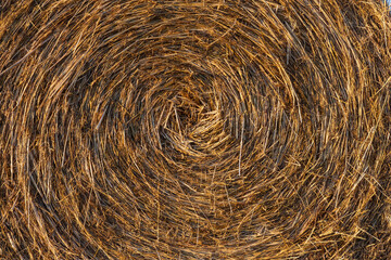 Bales and Field Stubble background.