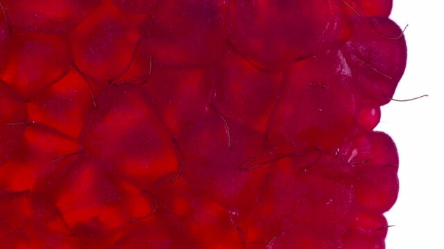 Squeeze One Raspberries. Raspberries are compressed and crushed close-up on a bright white background, creating a juicy burst of pulp and a bright shell. Shooting at 120fps