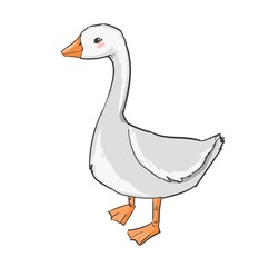 Hand drawn cute goose isolated on white background vector illustration
