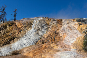 Geothermal feature in Yellowstone National park	