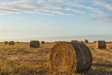 Sunset Over Farm Field. Bales and Field Stubble.