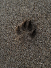 footprint in sand
