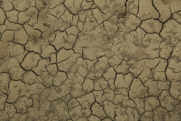 Textura de barro seco con grietas