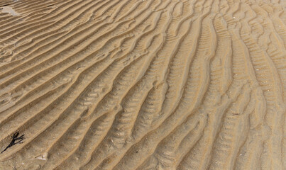 patterns in the sand at low tide	
