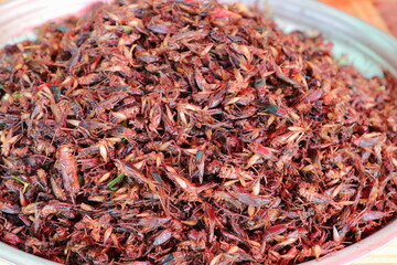Plate of cooked insects sold in a Cambogian street market
